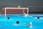 dharma_biosport_101.jpg
