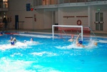 sharks_dharma_024.jpg