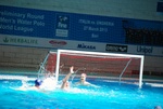 sharks_dharma_052.jpg