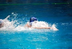 sharks_dharma_112.jpg