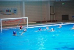 sharks_dharma_164.jpg