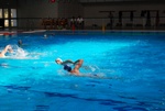 dharma_sharks__010.jpg