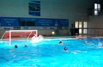 dharma_sharks__017.jpg
