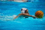 dharma_sharks__018.jpg