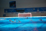 dharma_sharks__070.jpg
