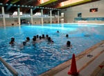 dharma_sharks__079.jpg