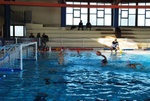 promosport_flipper_07.jpg