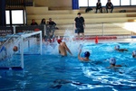 promosport_flipper_08.jpg