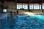 promosport_flipper_12.jpg