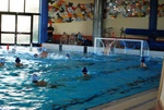 promosport_flipper_14.jpg