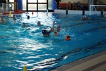 promosport_flipper_21.jpg