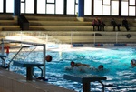 promosport_flipper_33.jpg