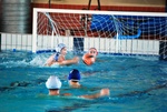 promosport_flipper_35.jpg