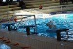 promosport_flipper_39.jpg