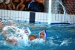 promosport_flipper_40.jpg