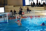 promosport_flipper_48.jpg