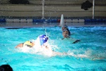 promosport_flipper_51.jpg
