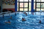 promosport_flipper_53.jpg