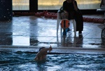 promosport_flipper_54.jpg