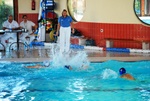 promosport_flipper_63.jpg