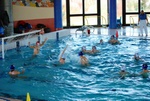 promosport_flipper_64.jpg