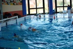 promosport_flipper_67.jpg
