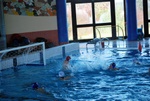 promosport_flipper_68.jpg