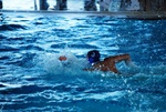 promosport_flipper_74.jpg