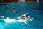 promosport_flipper_77.jpg