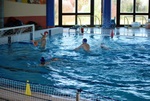 promosport_flipper_81.jpg