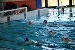 promosport_flipper_82.jpg
