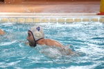 molfetta_vs_systep_47.jpg