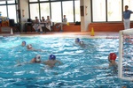 molfetta_vs_systep_80.jpg