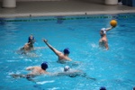 payton_vs_castelli_17.jpg