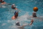 payton_vs_castelli_26.jpg