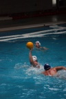 payton_vs_castelli_40.jpg