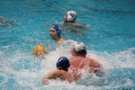 payton_vs_castelli_72.jpg
