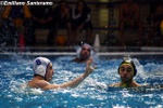 payton_vs_flegreo_008.jpg