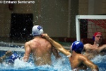 payton_vs_tolentino_003.jpg