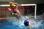 payton_vs_tolentino_005.jpg