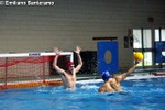 payton_vs_tolentino_006.jpg
