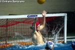 payton_vs_tolentino_033.jpg
