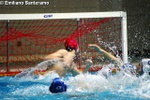 payton_vs_tolentino_043.jpg