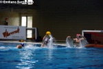 payton_vs_tolentino_050.jpg