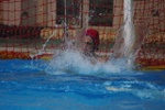 payton_vs_waterpolis_021.jpg
