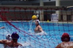 speciale_promozione_114.jpg