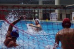 speciale_promozione_115.jpg
