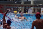 speciale_promozione_116.jpg