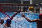 speciale_promozione_117.jpg