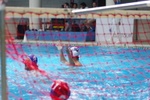 speciale_promozione_146.jpg
